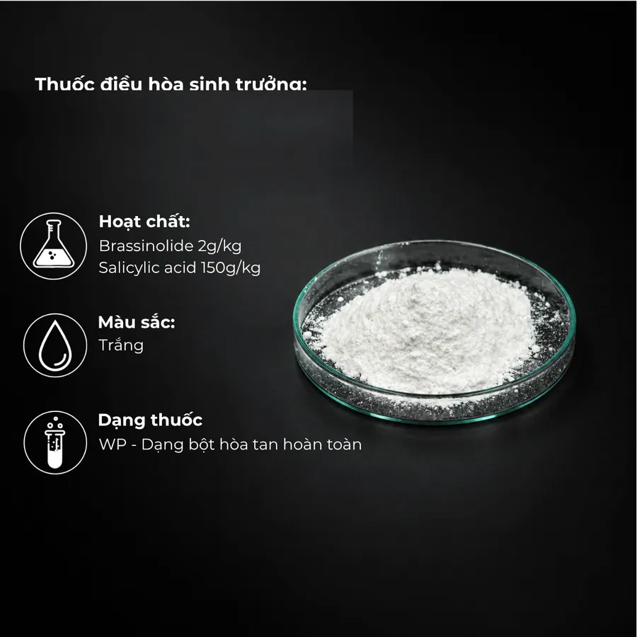 Mẫu Brassinolide 2g/kg + Salicylic acid 150g/kg · WP