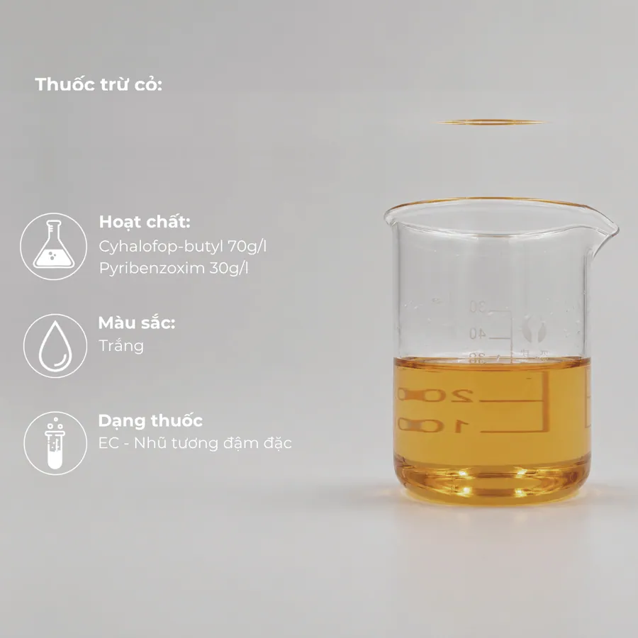 Mẫu Cyhalofop-butyl 70g/l + Pyribenzoxim 30g/l · EC