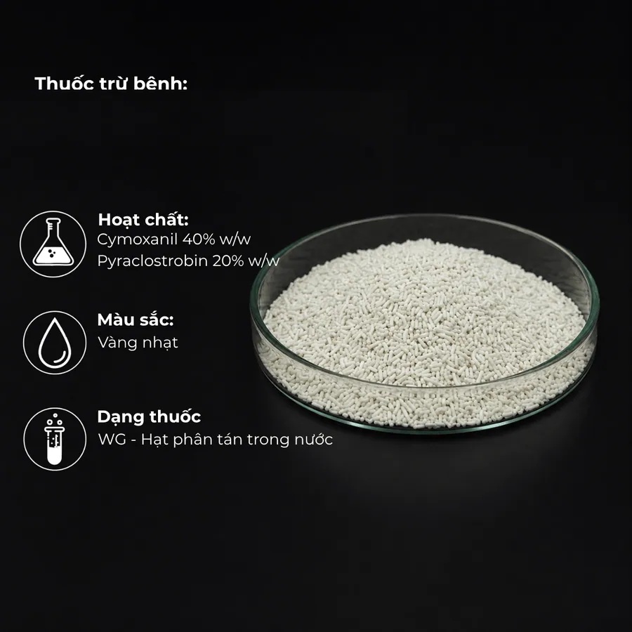 Mẫu Cymoxanil 40% w/w + Pyraclostrobin 20% w/w · WG