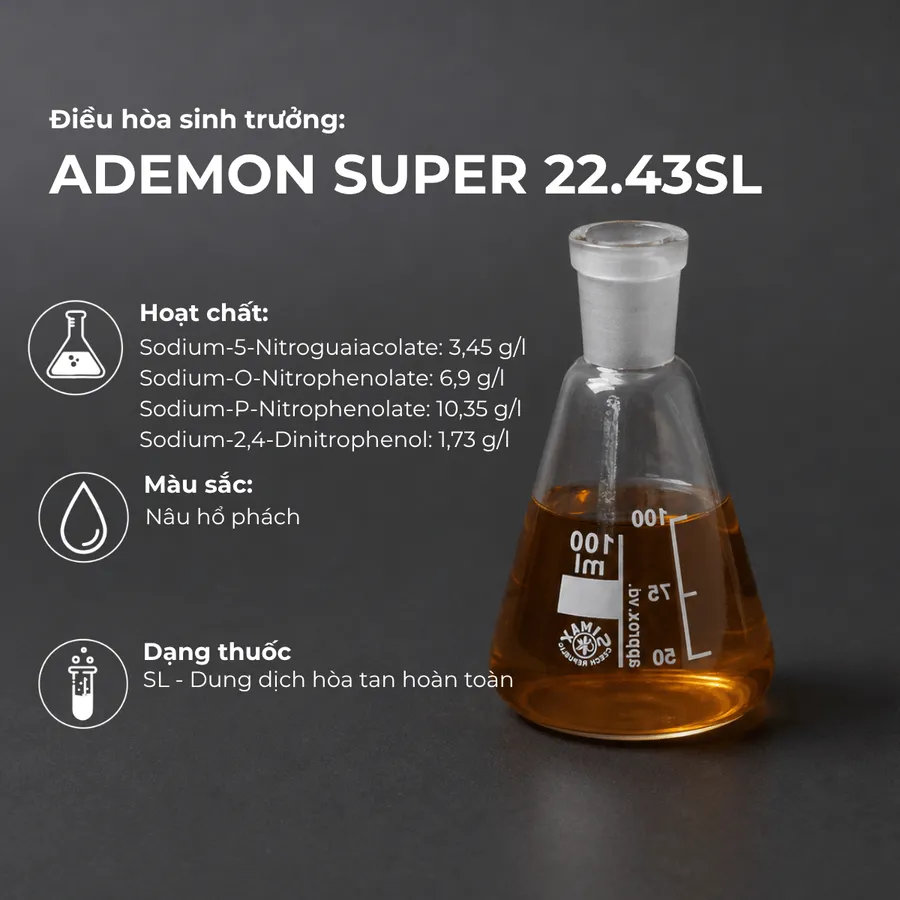 Mẫu Ademon super 22.43SL