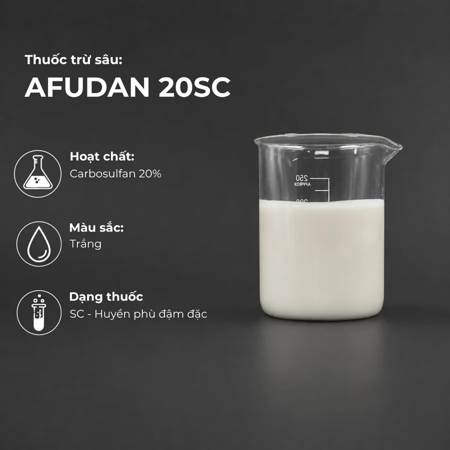 Mẫu AFUDAN 20SC