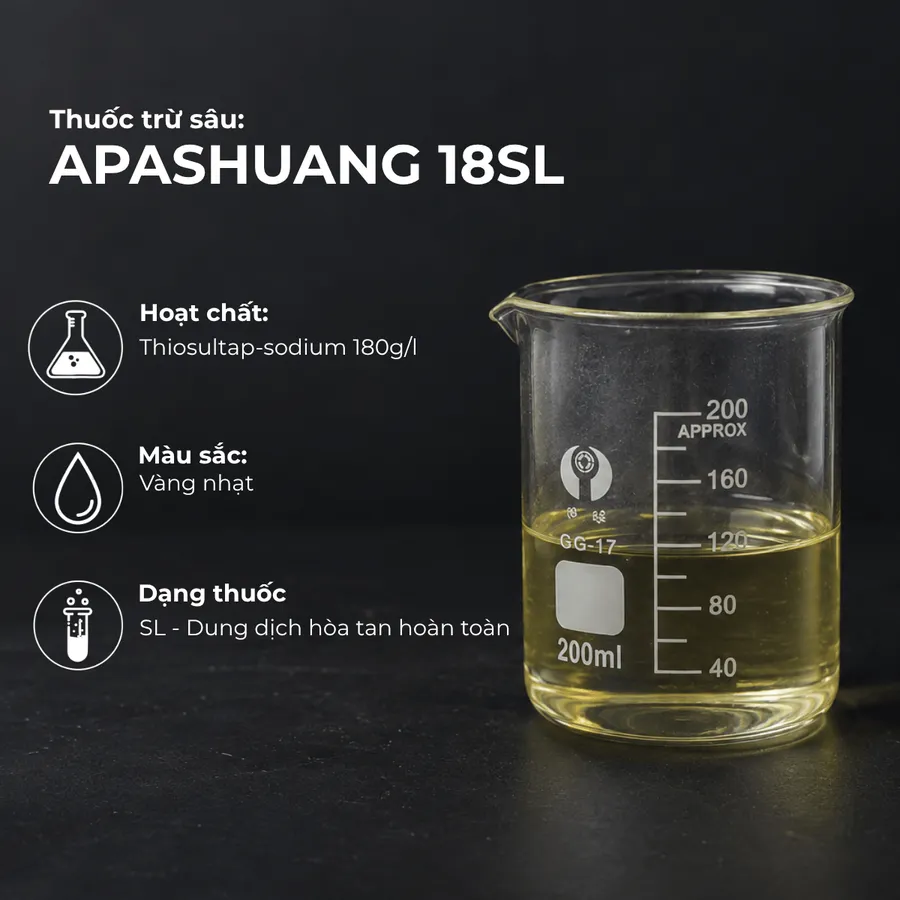 Mẫu APASHUANG 18SL