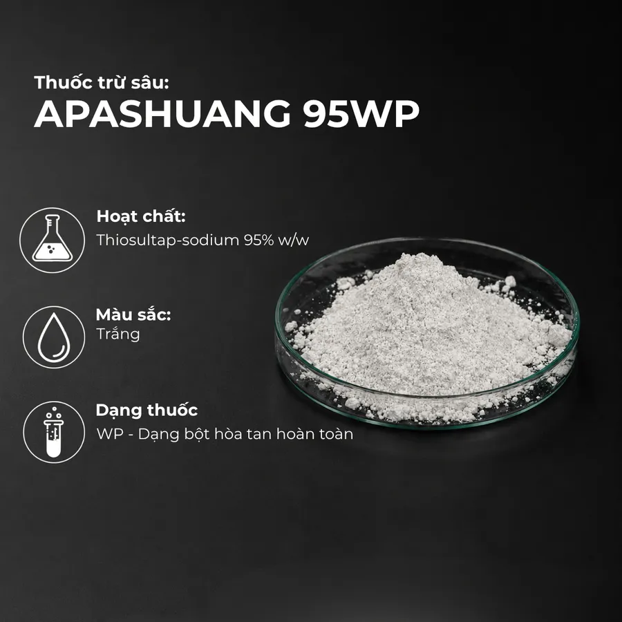 Mẫu APASHUANG 95WP