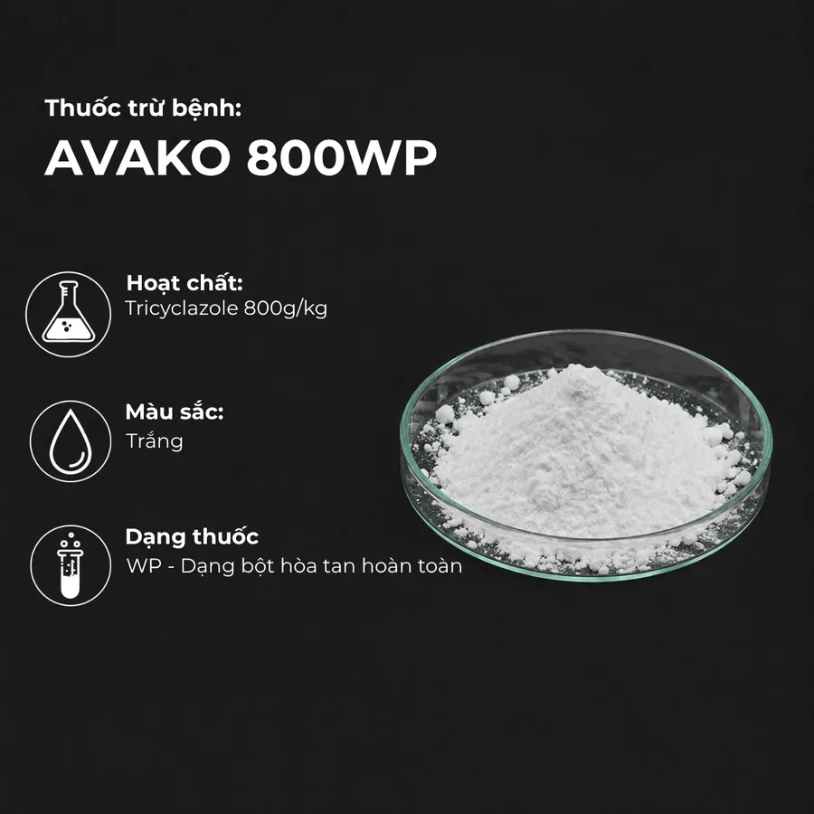 Mẫu AVAKO 800WP
