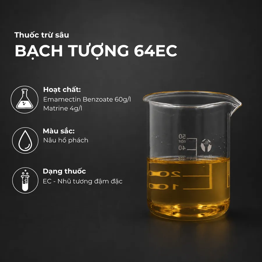 Mẫu Bạch tượng 64EC