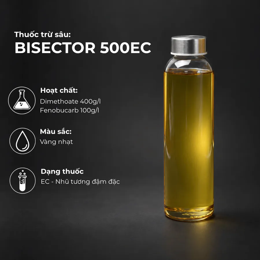 Mẫu BISECTOR 500EC