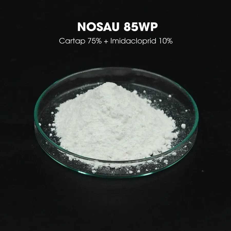 Mẫu Nosau 85WP