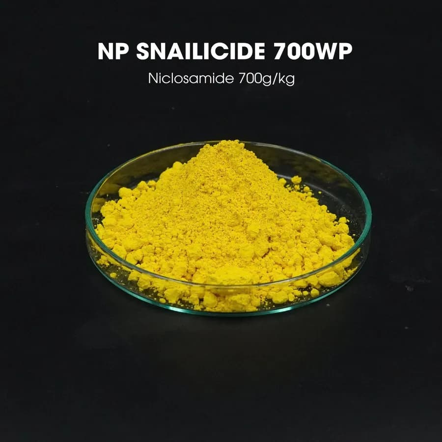 Mẫu NP Snalicide 700WP